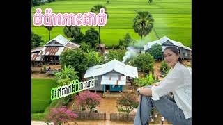 ចំប៉ាកោះដាច់  អកកាដង់ ពិរោះ