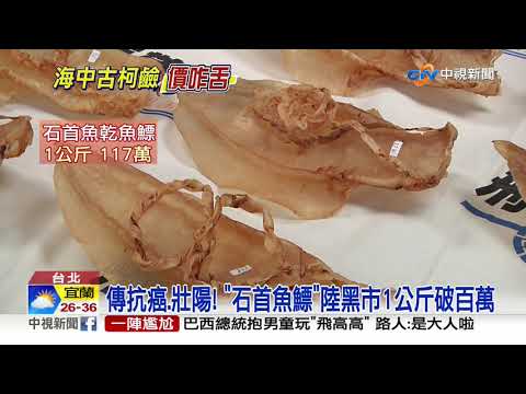 值3千萬! 保育類"石首魚鰾"走私 台美合作攔截│中視新聞 20200824