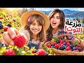 رحلتنا لمزرعة التوت الكبيره   اصعب مهمه سويناها     حالتي