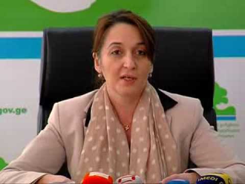 MOE: მინისტრი ხათუნა გოგალაძე - ბრიფინგი საახალწლო ნაძვის ხეების მოჭრასთან დკავშირებით. 07.12.2013