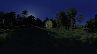Italian Brainrot Final Boss🥵 Horror - Forest - 360° Video VR