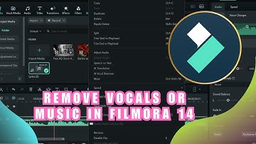 🎤 Remove Vocals or Music in Filmora 14 | Audio Separation Made Simple!