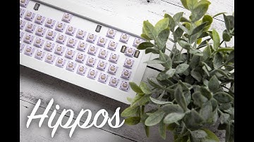 They made HIPPO SWITCHES?! - Gateron Hippo Switch Sound Test