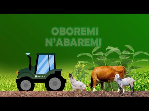 Live Oboremi N Abaremi Na Vane Moriango 25 08 2025