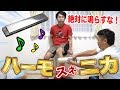 絶対鳴らしてはいけないスネハーモニカがめちゃめちゃ面白かった!!