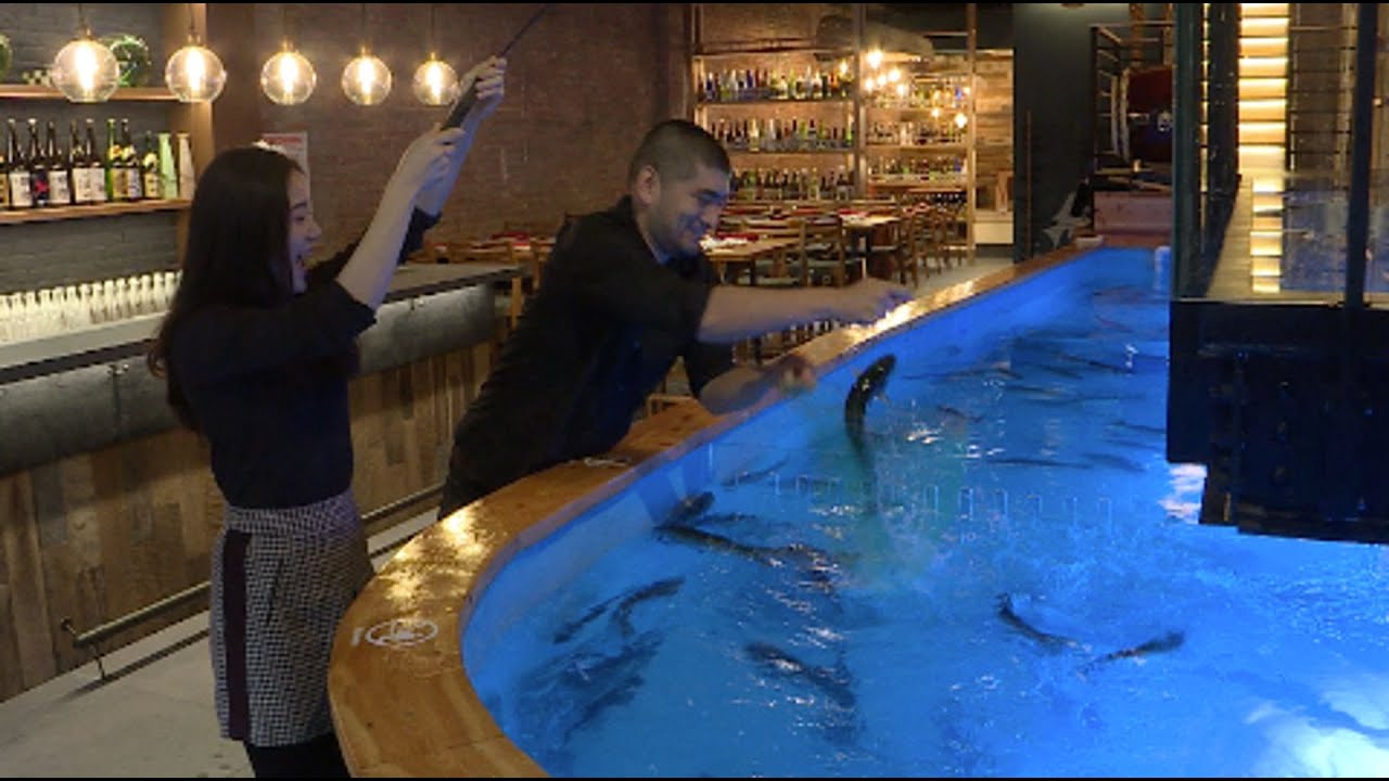 Fish for your own dinner at this Japanese restaurant in Manhattan YouTube