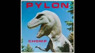 Pylon - M-Train