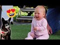 My baby meets a tiny homeless dog 🐶❤️ [Cutest Reaction!]