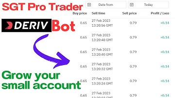 SGT Pro Trader: Deriv Binary bot strategy for small accounts