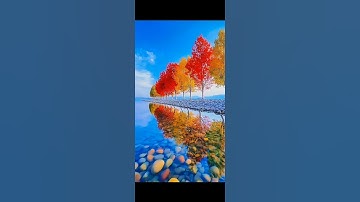 Time for a break #nature #edit #hopecore