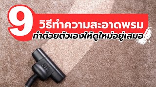 9 วิธี ทำความสะอาดพรม ทำด้วยตัวเองได้ ให้ดูเหมือนใหม่อยู่เสมอ