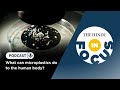 What can microplastics do to the human body? | In Focus podcast