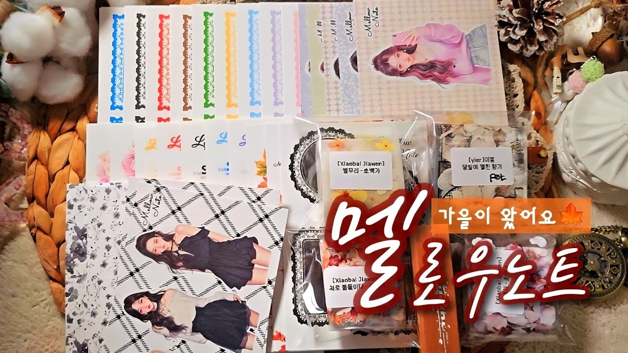 🔅개동이다꾸🔅멜로우노트 9월신상🍁 가을이에요🍂#vintage #papertherapy #Scrapbooking #journaling #sticker #개동이다꾸 #멜로우노트 