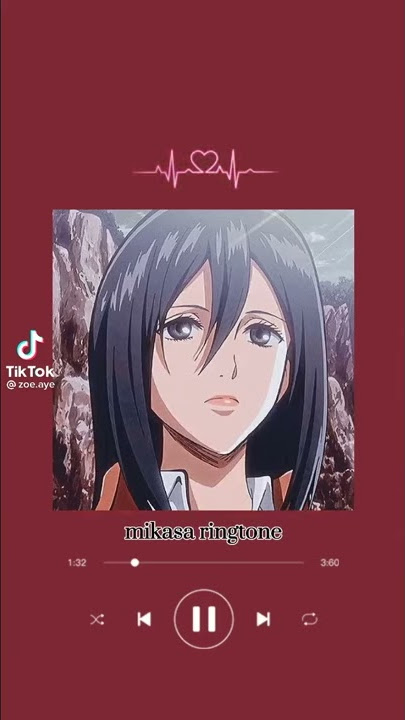 Hashira Mikasa version