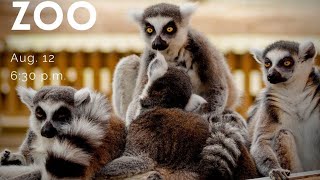 Opportunities in Biodiversity Episode 5: Toronto Zoo