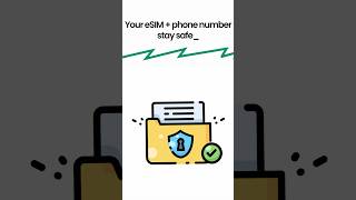 Does Reset Network Settings Delete eSIM on iPhone? (Quick Answer!)