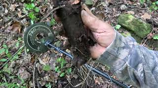 Celebrity You wont believe what we found! Metal detecting in Devil Anse Hatfield's backyard preview Wealth