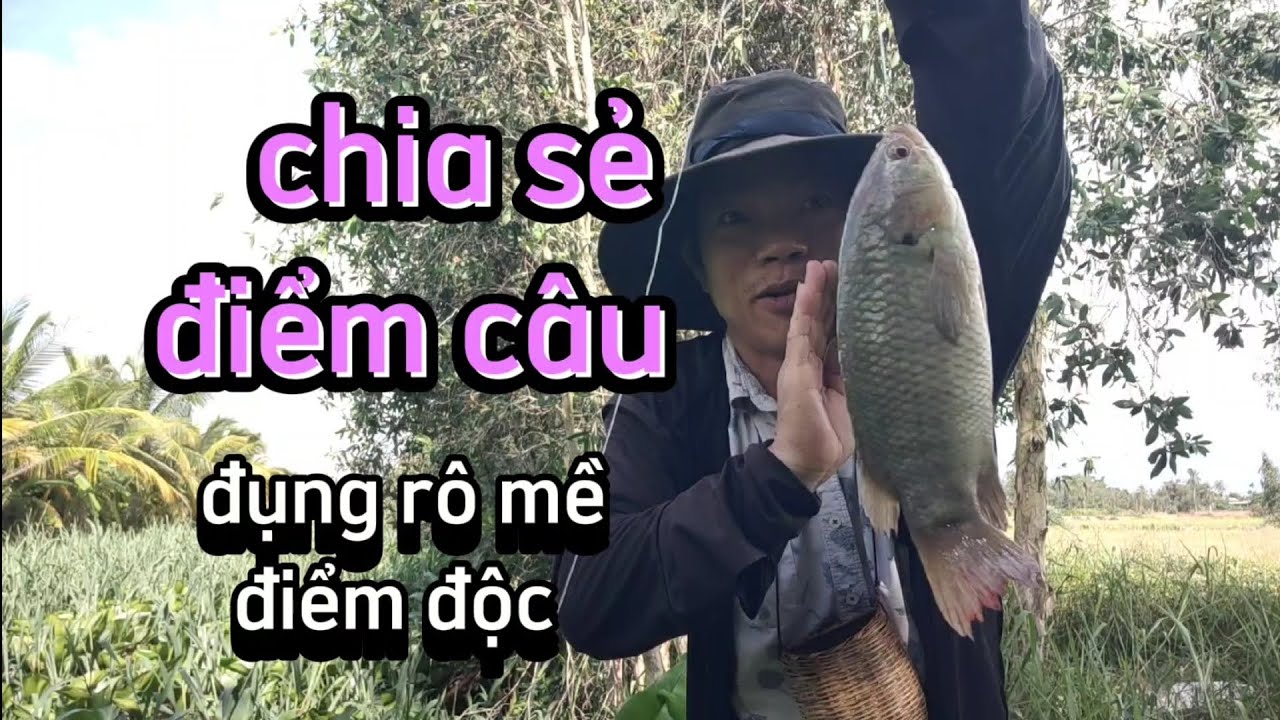 Chia sẻ điểm câu/đụng rô mề,điểm độc ẩn sâu bên trong sớm, ít ai biết