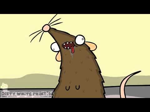 Die Takko Ratte