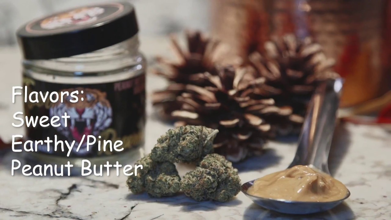 Strain Review Peanut Butter Breath (Hybrid) YouTube