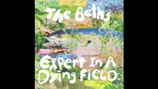 The Beths - Expert In A Dying Field (Demo)