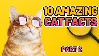 AMAZING CAT FACTS 2 by Aiamazing Top 10 19 views 1 year ago 3 minutes, 38 seconds