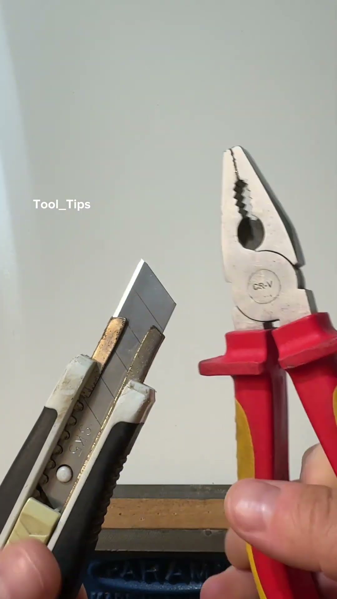 The Tool Tips ?