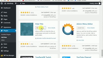 How to Hide Title of WordPress Posts and Pages