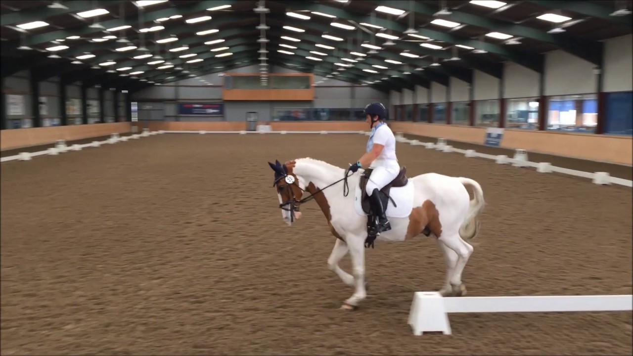Houghton Hall Equestrian 9 July 2017 BD Preliminary Test 19 YouTube