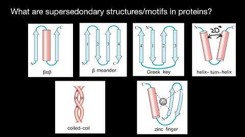 Protein folding: Supersecondary structure