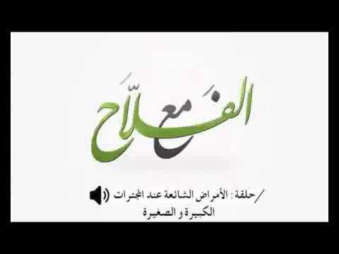 الامراض الشائعة عند المجترات الكبيرة و الصغيرة ( الجزء 2 )