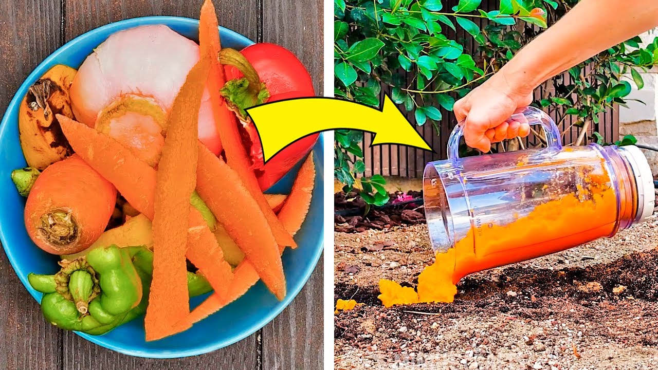 47 SUPERB GARDENING IDEAS YOU HAVE TO TRY