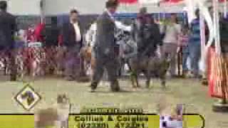 Perros en Acción - Programa 51 Bloque 2