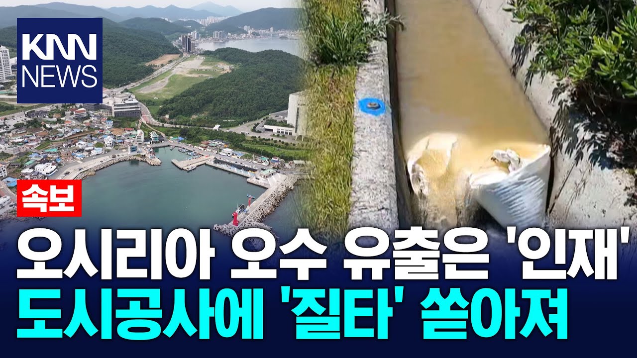 [속] 오시리아 오수 유출은 '인재'...'도시공사' 질타 쏟아져/ KNN - YouTube