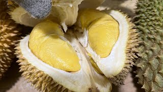 Cek durian lokal super