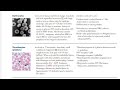 Neutrophils, Erythrocytes, Thrombocytes ( Hematology and Oncology)