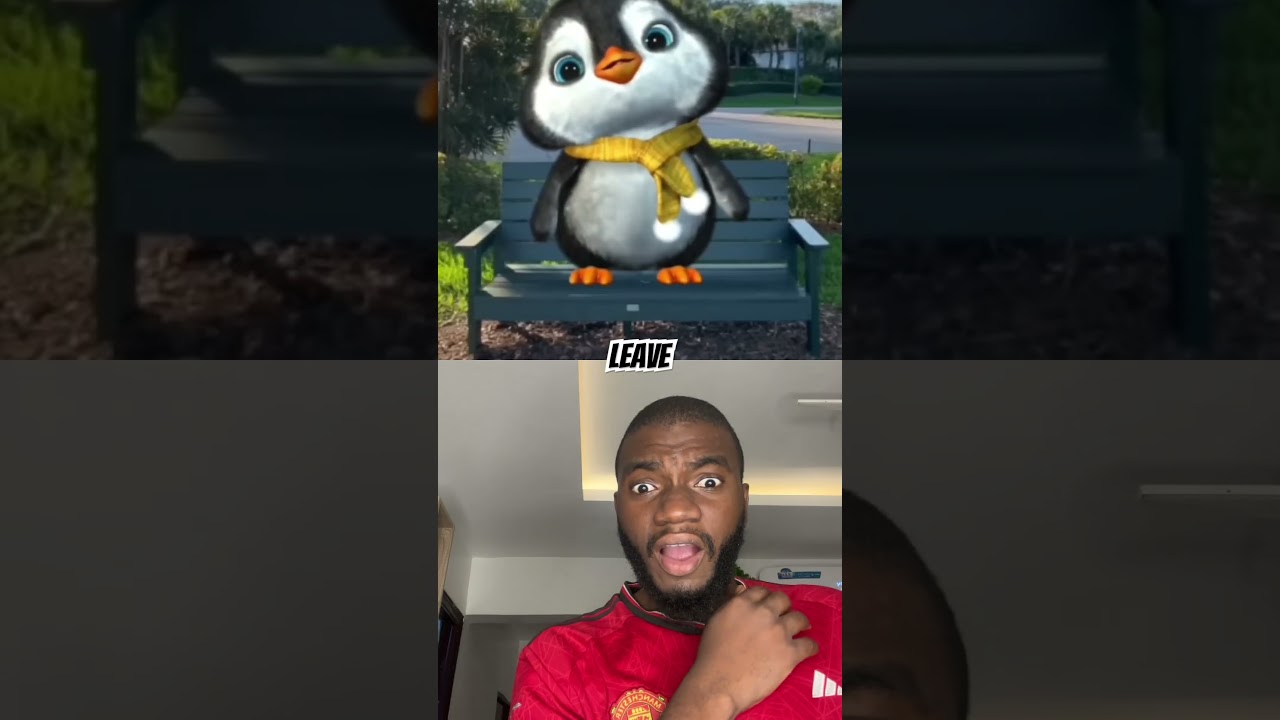 Мой милый 🥰 пушистик🥹