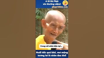 Nuối tiếc quá khứ, mơ mộng tương lai là nguyên nhân khiến chúng ta đau khổ | Sư Giác Khang