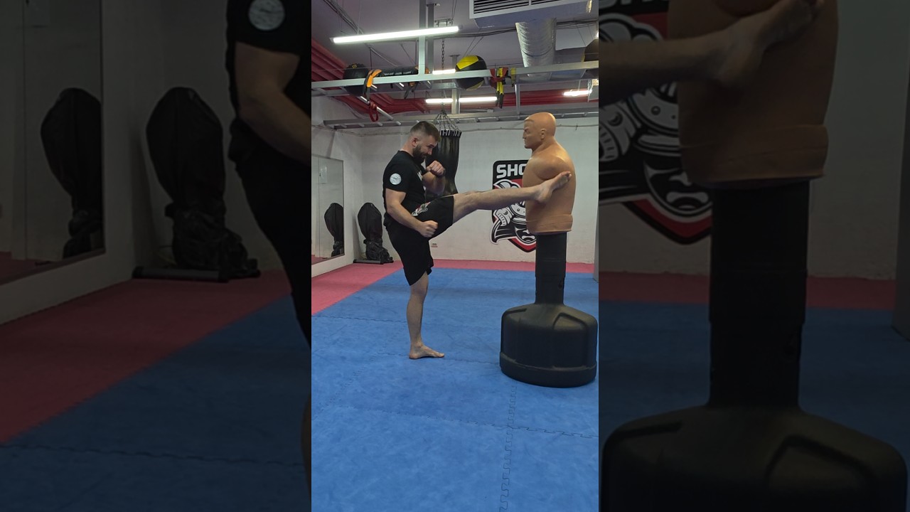 kickboxing training power kick #fullpunch #kickboxing