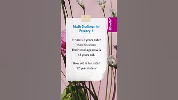 Grade 3 Math Quiz 07: Solve the Primary 3 Word Problem