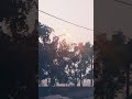 Good Morning WhatsApp status #shorts #attitude_whatsapp_status #haryanvistatus #reels #attitude