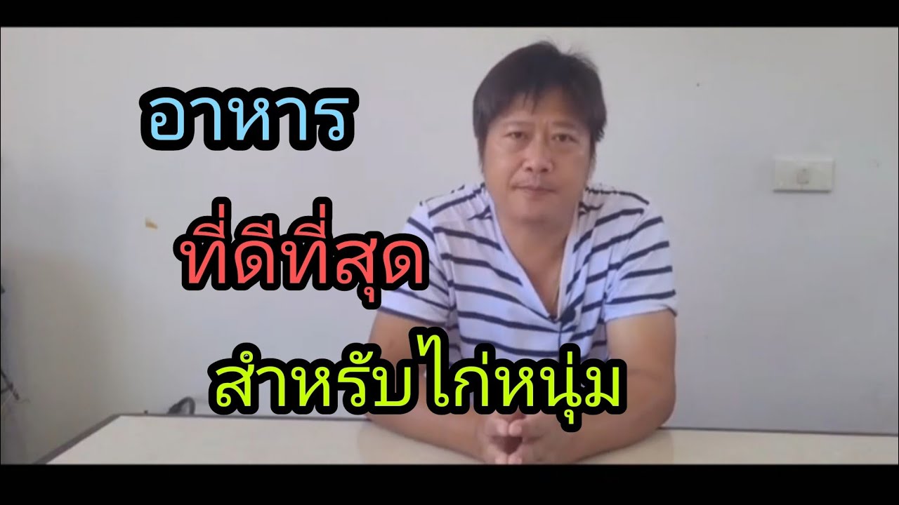 การให้อาหารไก่หนุ่ม #เลี้ยงไก่มือใหม่