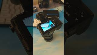 Meeting The Best Keyboard Photographer Captain Sterling & Neko Coffee Co.