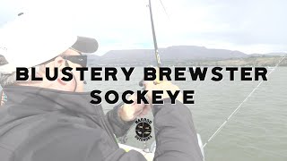 Blustery Brewster Sockeye