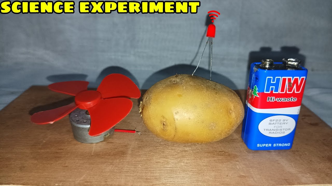 school science experiment / using potato & battery / simple experiment ...