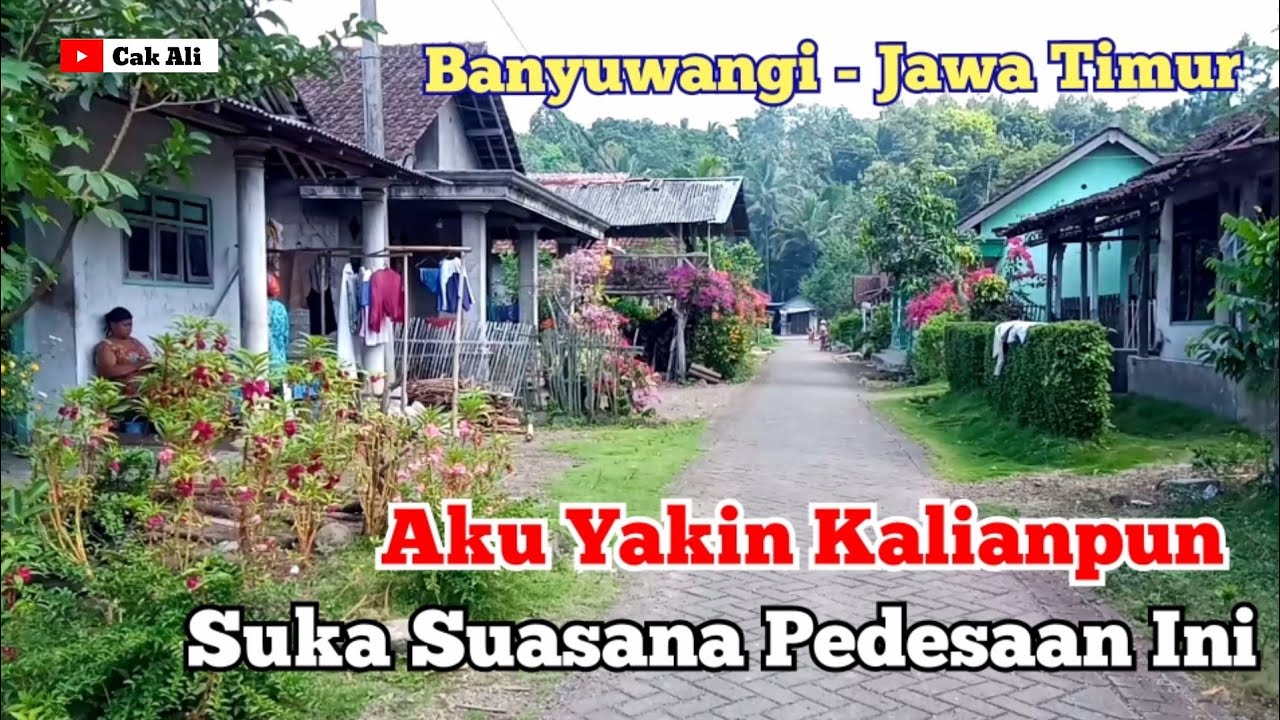 ADEM TENAN, SUASANA PEDESAAN JAWA TIMUR - KAMPUNG BARU BANYUWANGI