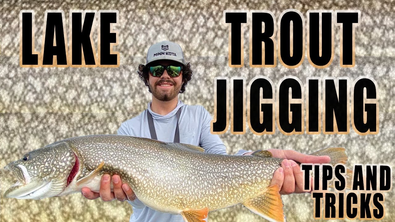 Lake Trout Jigging Tips and Tricks (Everything YOU need to know) YouTube