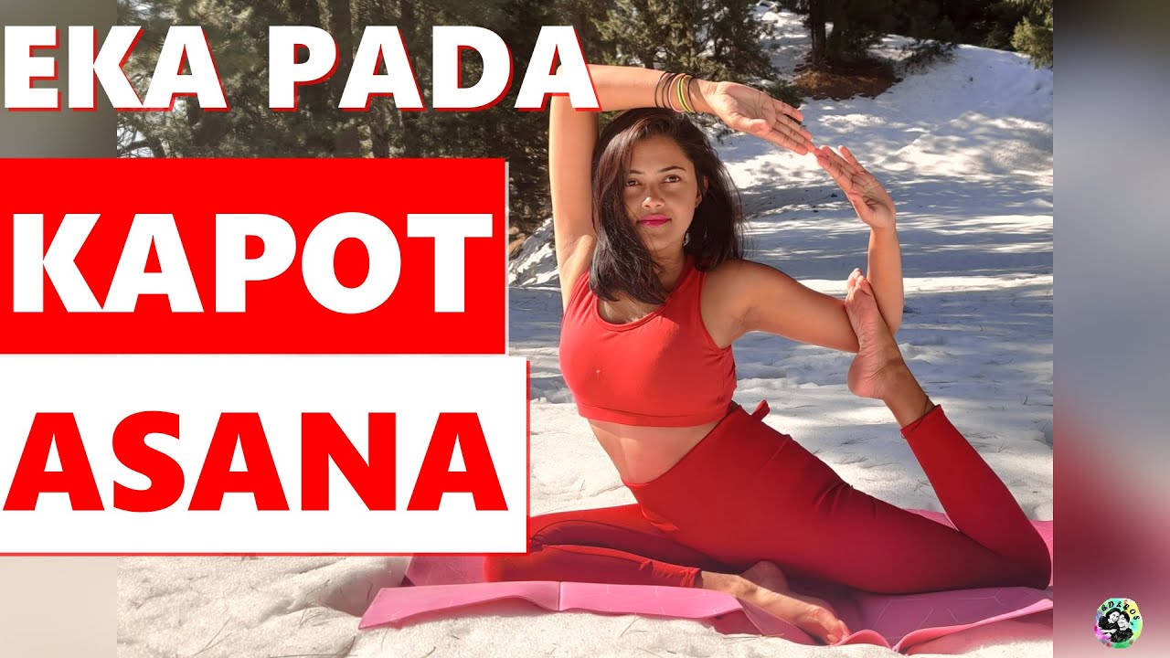 EKA PADA KAPOTASANA HOW TO DO PIGEON POSE CORRECTLY HOW TO DO eka-pada-kapotasana-how-to-do-pigeon-pose-correctly-how-to-do