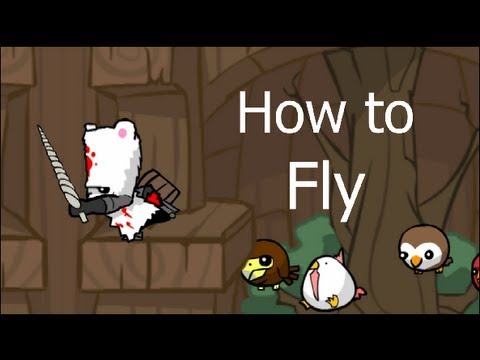 Castle crasher exp glitch after patch