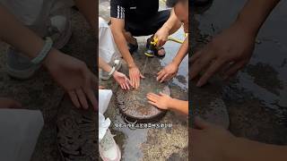 নষ্ট কার্ড পলিশ 🤔~mini wood toy-wood working art skill wood / hand crafts / #shorts #short